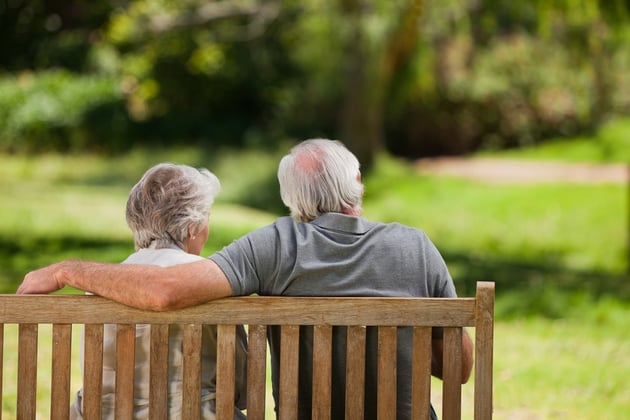 senior investors 